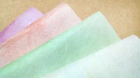 Tosa Washi