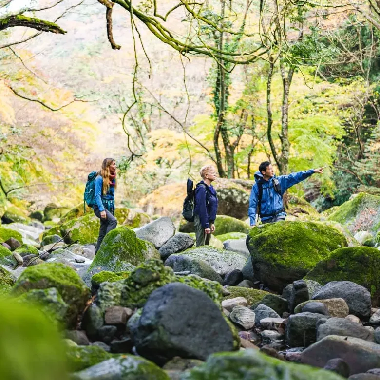 Hakone “Old Tokaido Highway Hiking”